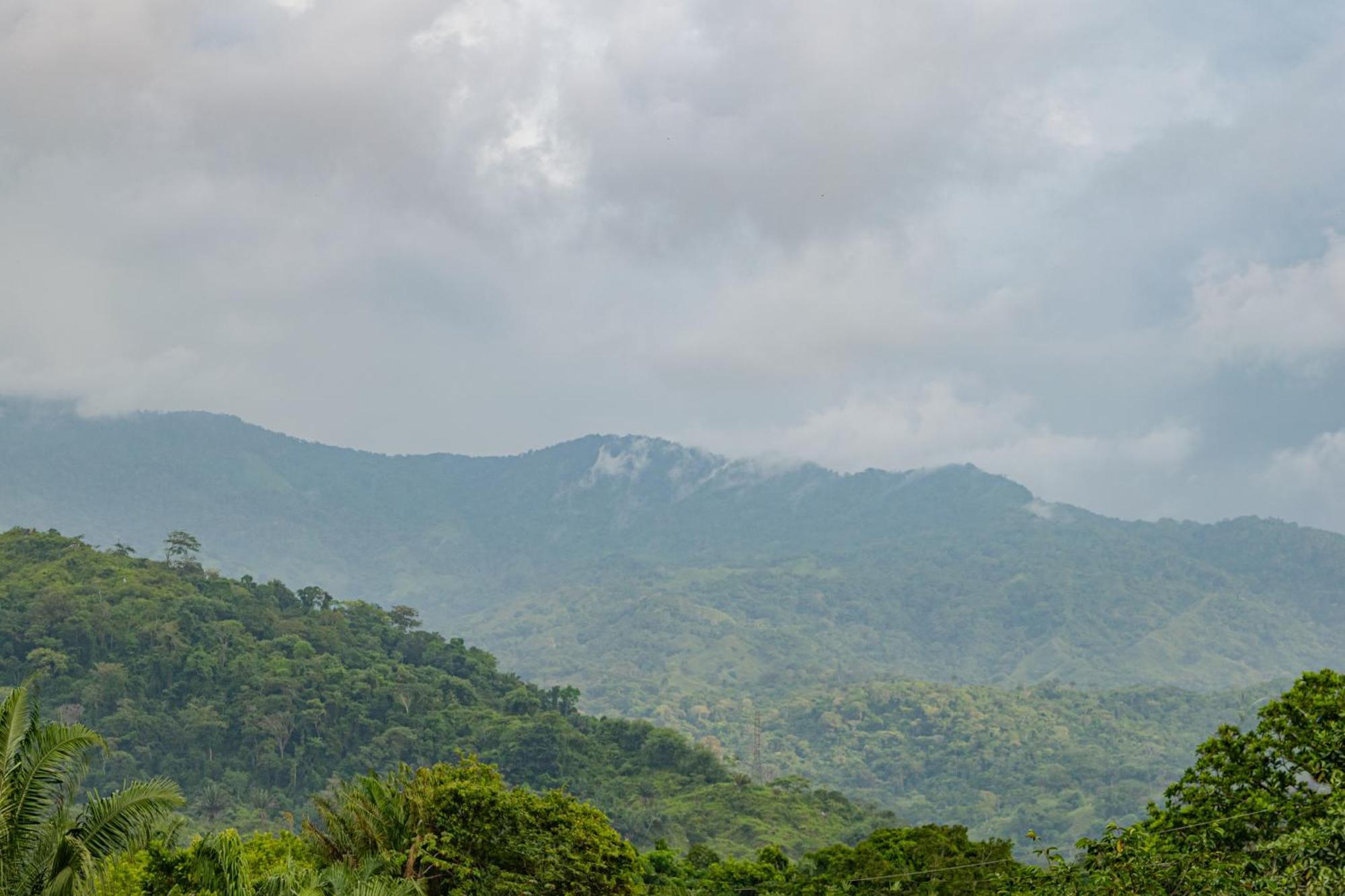 Cabana Mirador Del Bosque, Sector Parque Tayrona Santa Marta  Exterior foto